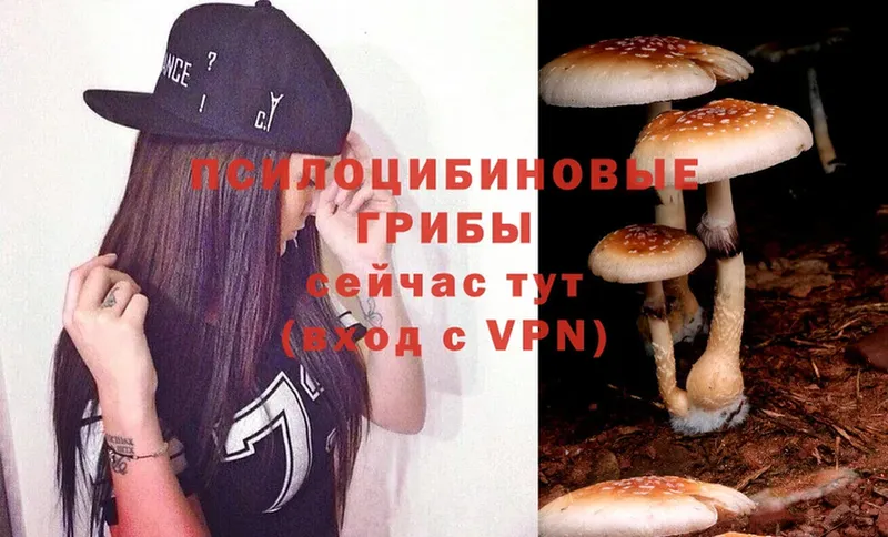 Галлюциногенные грибы Magic Shrooms  где можно купить   Болхов 